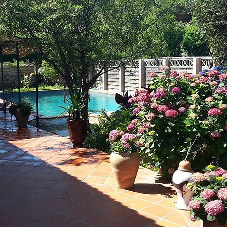 La Chambre De Salome Collioure Ngoại thất bức ảnh